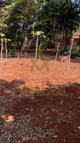 Fazenda à venda e aluguel com 3 quartos, 9500m² - Foto 35