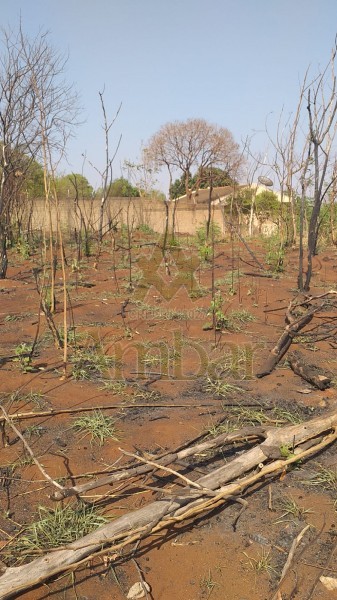 Ambar Imóveis | Imobiliária em Ribeirão Preto | Terreno - Rodovia - Dumont