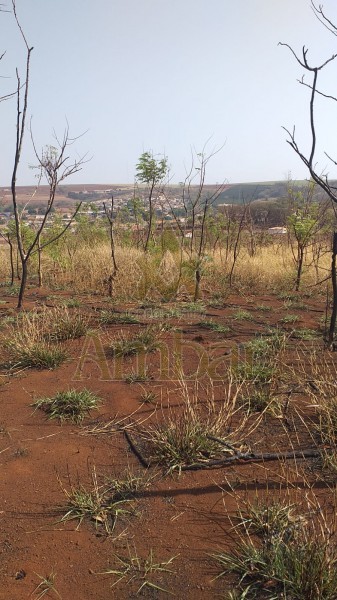 Ambar Imóveis | Imobiliária em Ribeirão Preto | Terreno - Rodovia - Dumont