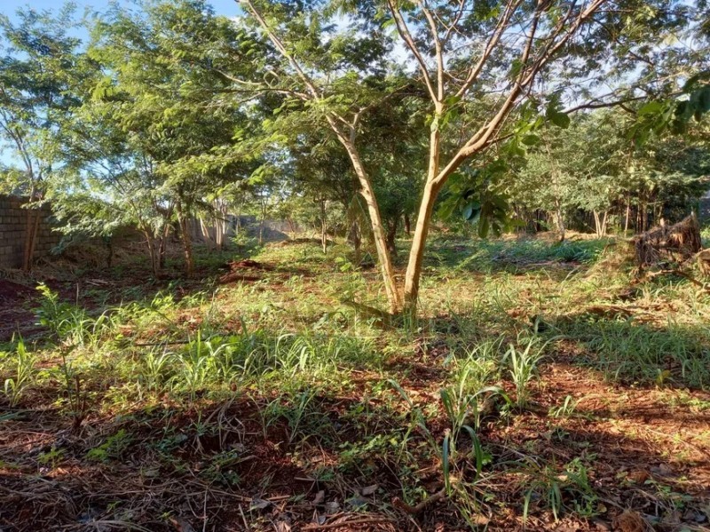 Ambar Imóveis | Imobiliária em Ribeirão Preto | Terreno - Ribeirânia - Ribeirão Preto