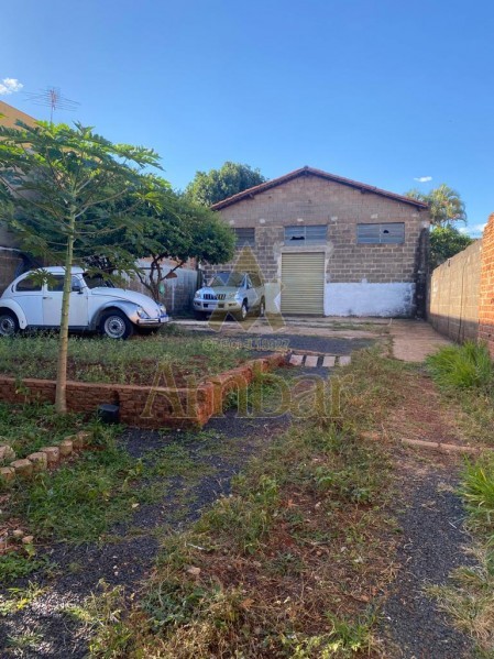 Ambar Imóveis | Imobiliária em Ribeirão Preto | Barracão - Jardim Maria Goretti - Ribeirão Preto